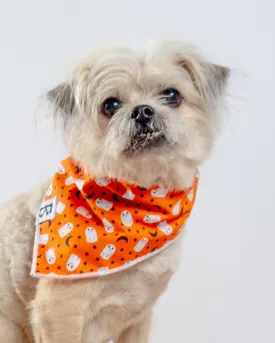 "Boo-Tiful Nights" Orange Ghosts Halloween Dog Bandana (Made in the USA)